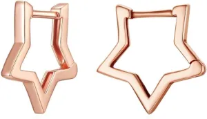 BISAER Star Earrings 925 Sterling Silver Cute Hoop Earrings for Women Hypoallergenic Small Sleeper Tragus Hoop Earrings Cartilage Jewelry Gifts