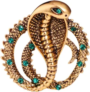 Punk Skull Brooches Pins Halloween Crystal Skeleton Hand Lapel Pins Gothic Cobra Snake Safty Pins